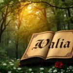 Significado del apellido Valía