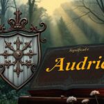 Significado del apellido Audric