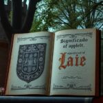 Significado del apellido Laie